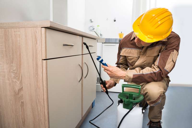 Emergency Pest Control